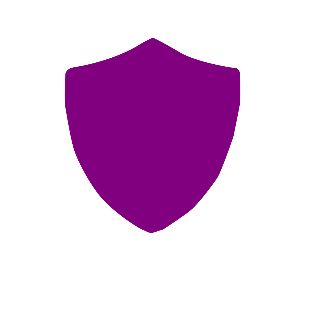 vpn